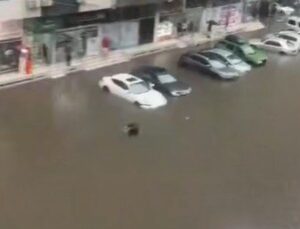 Posts